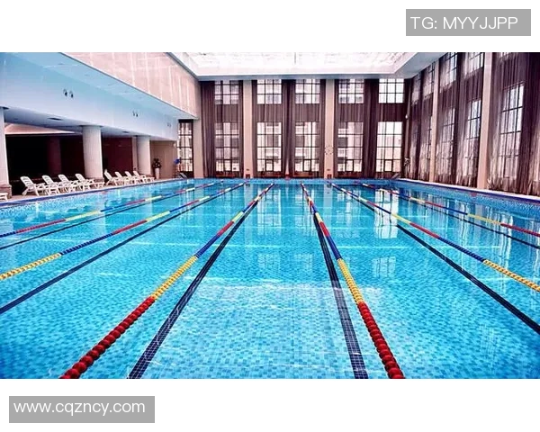 广州飞盘队的成功运营策略与发展模式深度分析与解读