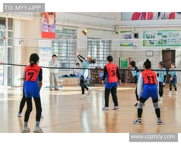 深圳排球队创下排球耐力新高运动员拼搏精神值得赞扬