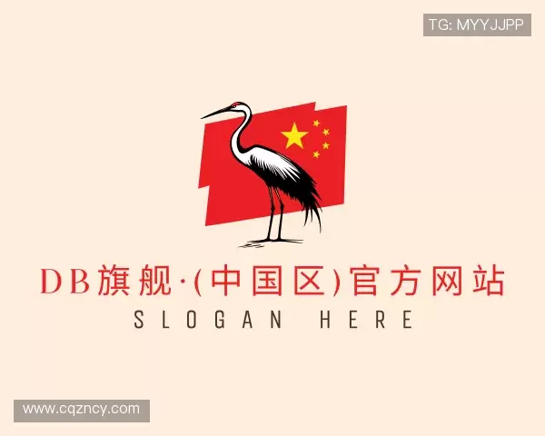 解读DB旗舰